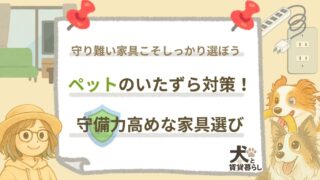 【犬と賃貸暮らし】ペットのいたずら対策！守備力高めな家具選び