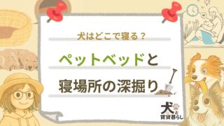 【犬と賃貸暮らし】犬はどこで寝る？ペットベッドと寝場所の深掘り！