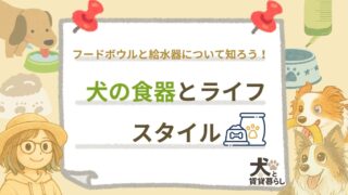 【犬と賃貸暮らし】フードボウルと給水器について知ろう！犬の食器とライフスタイル