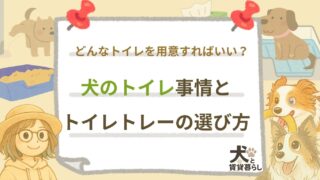 【犬と賃貸暮らし】犬のトイレ事情とトイレトレーの選び方