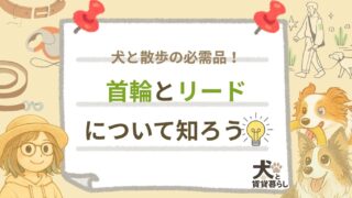 【犬と賃貸暮らし】犬と散歩の必需品！首輪とリードについて知ろう