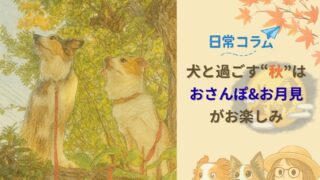 【日常コラム】犬と過ごす“秋”はおさんぽ&お月見がお楽しみ