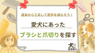 【犬と賃貸暮らし】愛犬にあったブラシと爪切りを探す