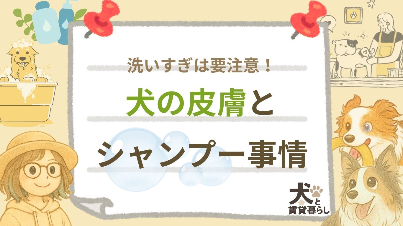 【犬と賃貸暮らし】洗いすぎは要注意！犬の皮膚とシャンプー事情