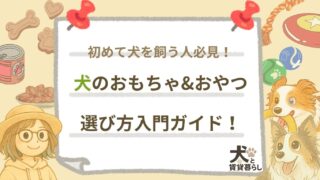 【犬と賃貸暮らし】犬のおもちゃ&おやつ選び方入門ガイド!