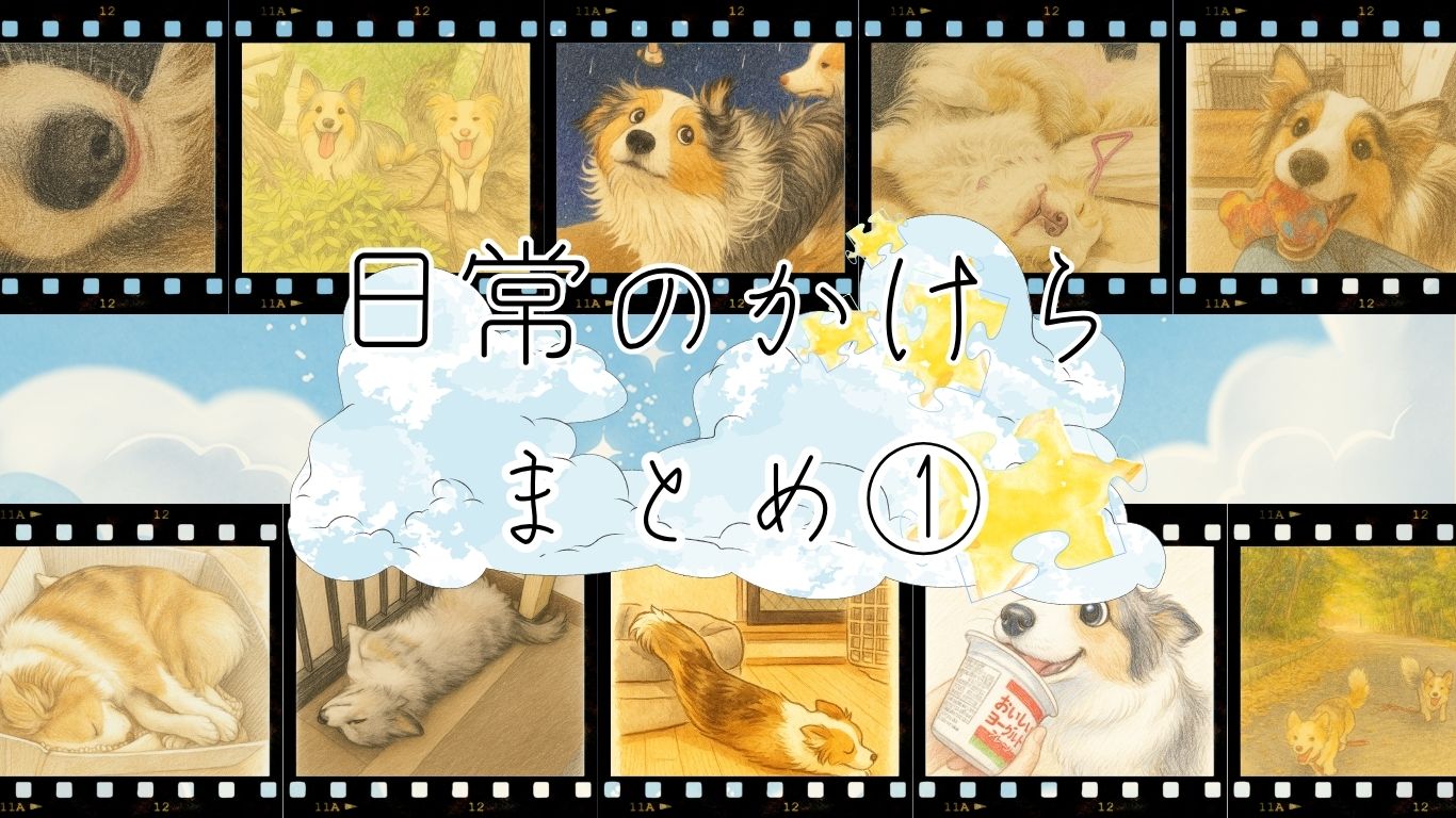 【日常のかけら🧩】ゆっちとはっちの2025年思い出まとめ①