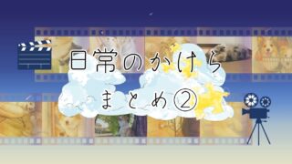 【日常のかけら🧩】ゆっちとはっちの2025年思い出まとめ②
