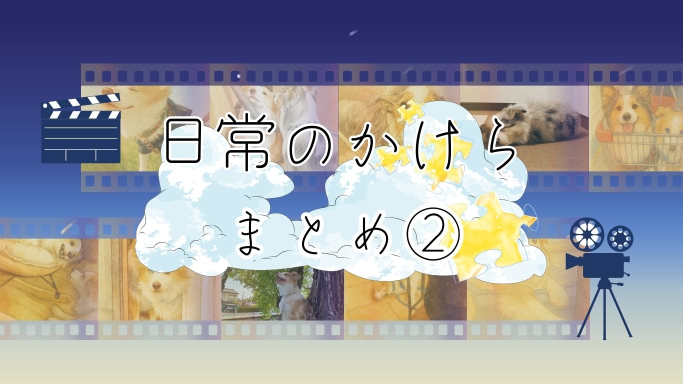 【日常のかけら🧩】ゆっちとはっちの2025年思い出まとめ②